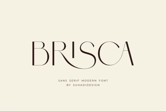 Brisca Font for Unique Projects & Designs