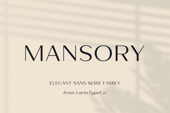 Modern Projects Using Mansory Font